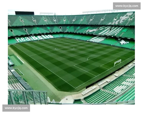 贝尼托・比利亚马林球场改造暂停护雨燕:生态保护与体育建设的平衡之道 贝尼托・比利亚马林球场改造暂停护雨燕:生态保护与体育建设的平衡之道